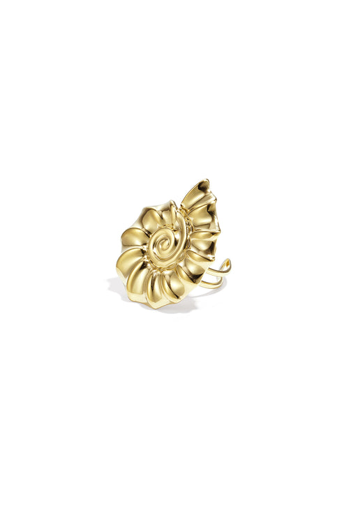 Spiral shell statement ring