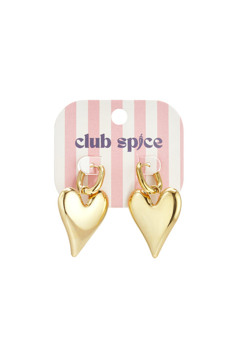 Stainless Steel Drop Earrings Heart Casual Daily Simple Series Women's jewelry
