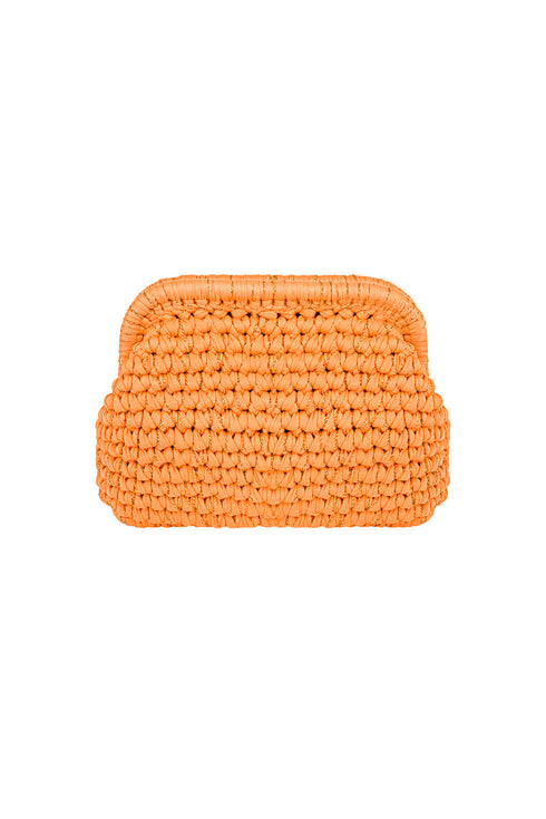 The Colorful Clutch bag