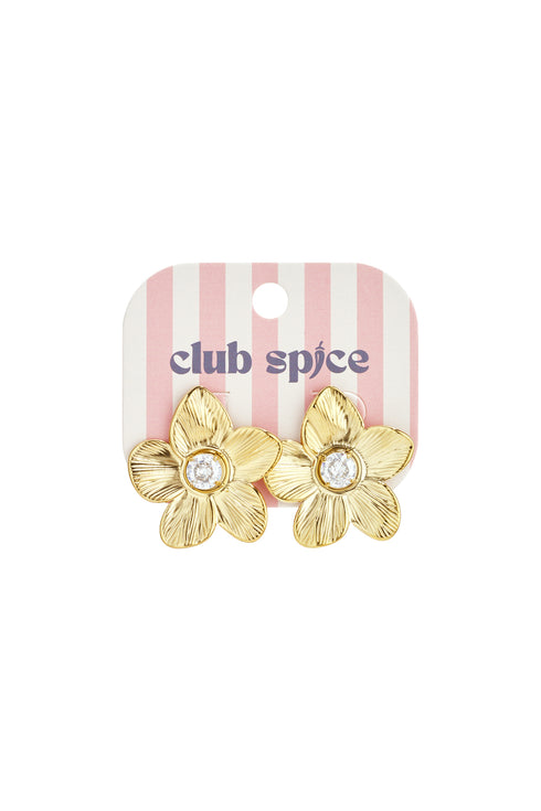 Stainless Steel Stud Earrings Flower Casual Daily Simple Series Women's jewelry