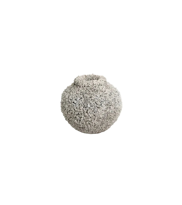 Coral Pote