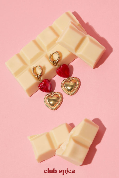 Stainless Steel Dangle Earrings Heart Casual Daily Romantic Series Women's jewelry